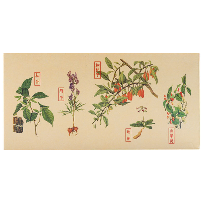 仲景 右歸丸